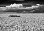 Steve Dorey -  Chesil Bank